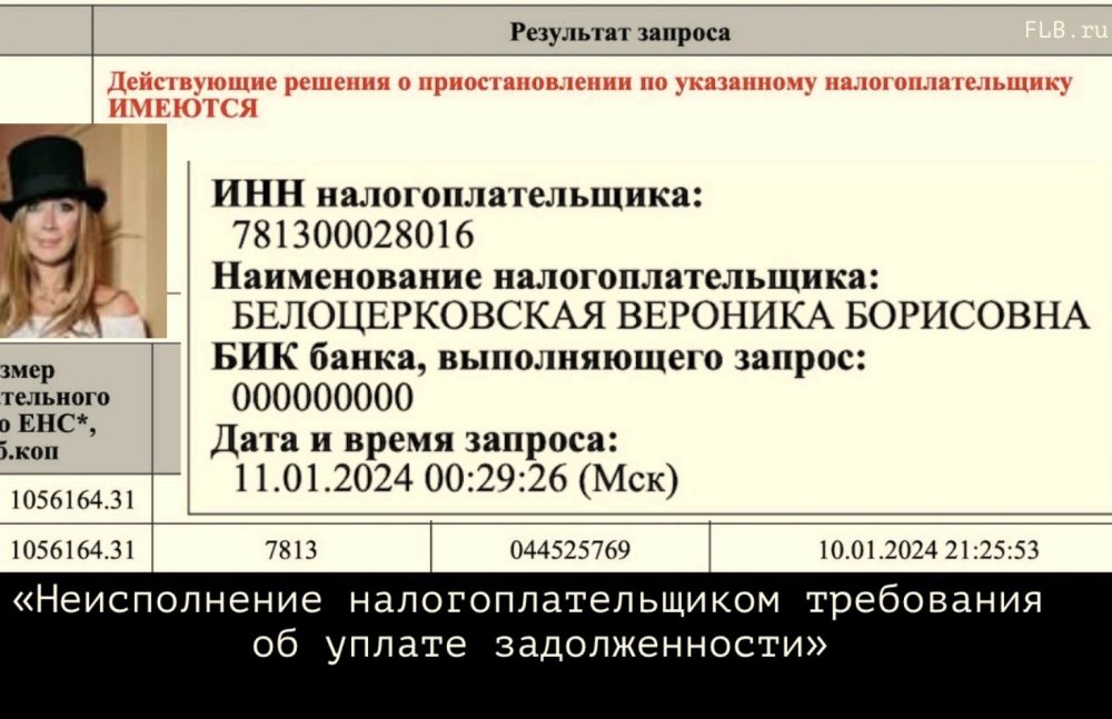 Долги на родине. Иноагенту Нике Белоцерковской заблокировали счета за неуплату 1,1 млн налогов