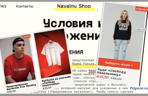 Магазин «Navalny.shop» принадлежит … Ходорковскому*. Заглотнул