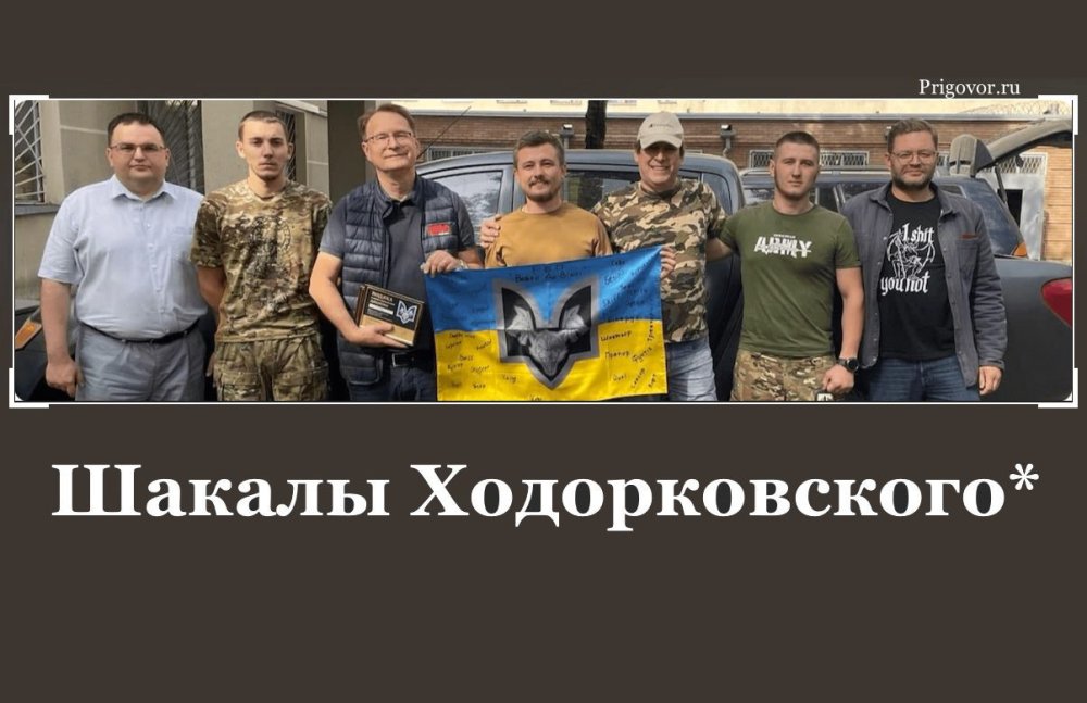 Шакалы Ходорковского*: привлечение, перемещение, использование