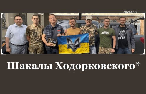 Шакалы Ходорковского*: привлечение, перемещение, использование